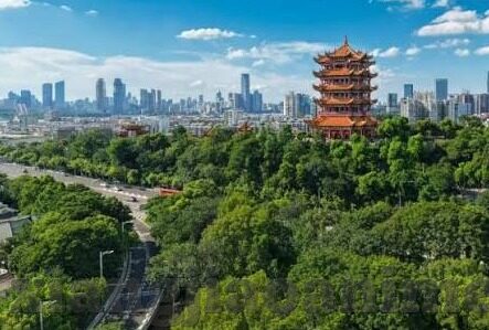 麻豆久久精品国产亚洲av小说-探索成人影视文化的多元化视角，以麻豆久久精品国产亚洲AV小说为例